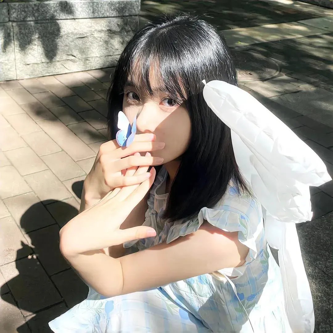 完美伴侣
